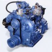 5.3L Natural Gas Engine