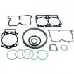 SEALS AND GASKETS (OIL SEAL AND GASKET SET)
