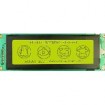 Graphic lcd module 240X64 with led