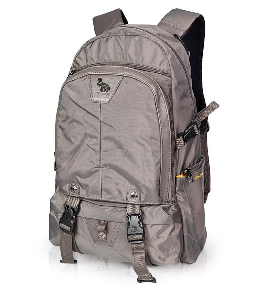 420D Polyster New design Gray  backpack