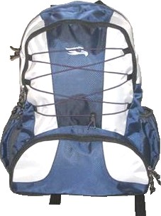 Blue and White Quality polyster backpack