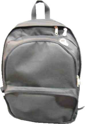 silvery Simple backpack