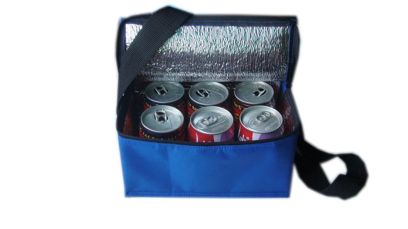 6Cans cooler bag With Two Strap