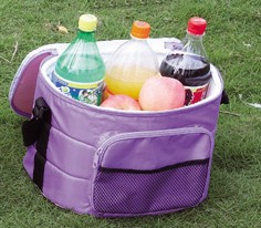 disposable cooler bag with long strap