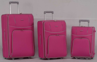 EVA Pink Luggage bag