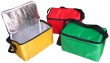 Simple Cooler Bags