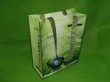 Green Non-woven bag With Lamation