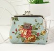 Blue Fashion Polyster Wallet bag