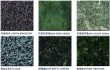 imported granites