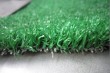 Beautiful landscape artificial grass