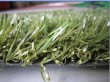 Plastic carpet grass