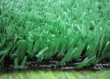 artificial grass