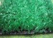 leisure artificial grass