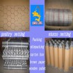 galvanized wire mesh