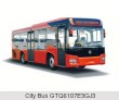 City Bus GTQ6107E3GJ3
