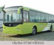 City Bus GTQ6113E3GJ2