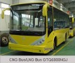 CNG Bus/LNG Bus GTQ6800NGJ