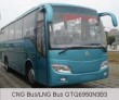 CNG Bus/LNG Bus GTQ6950N3B3