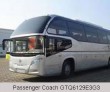 Passenger Coach GTQ6129E3G3