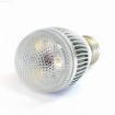 E27 LED bulbs BT1021