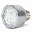 LED Bulbs LB2009