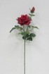 LSF-A-167  Rose spray