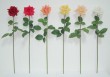 LSF-R-0813   Rose pick