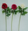 LSF-R-2813  Fresh touch roses
