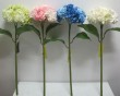 LSH003   Long stem hydrangea