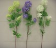 LSH007   2heads hydrangea small