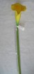 CA-002-27S   calla lilies