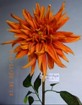 DA-009L4-33S Dahlia mum