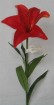 RL-040-28S lilies