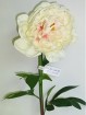 PE-002A1-30S  Peony stem