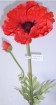 PO-002-30S  Poppy