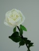 RO-0108-28S   Diamond rose