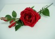 RO-024-28S  Rose spray