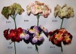 SH3013  Velvet flowers