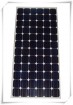 Solar Panel 165W 