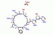 Polymyxin B sulfate