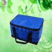 insulated picnic cooler bag