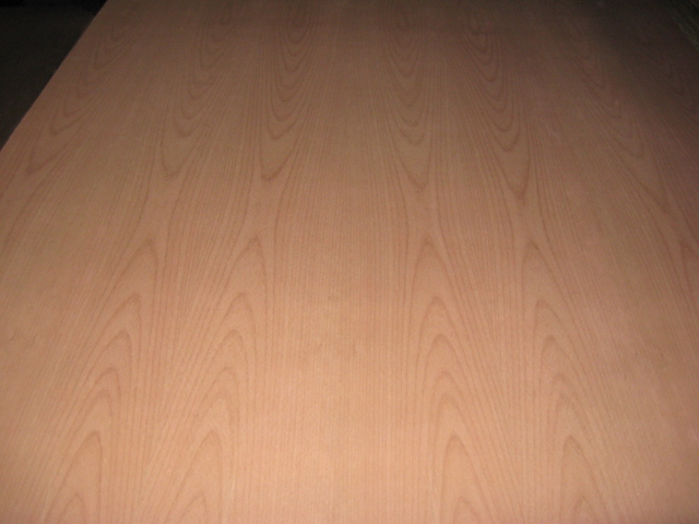 Beech Faced Plywood