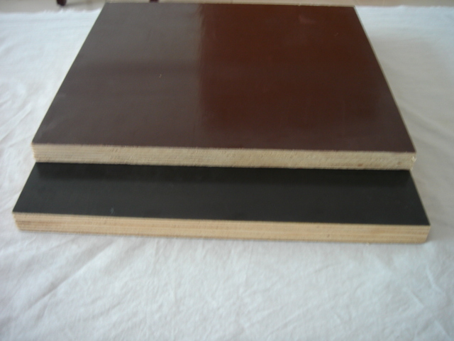 Construction Plywood