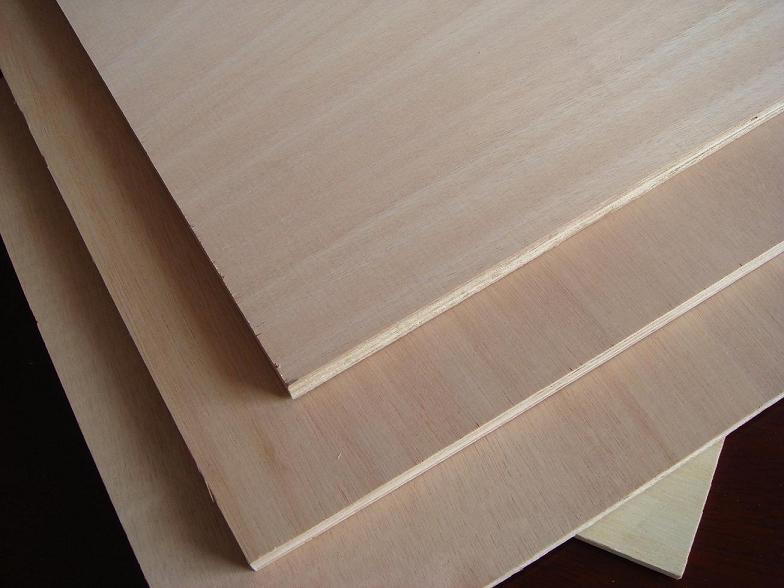 Poplar Plywood