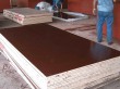 Building Film faced plywood