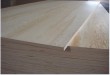 Furniture Pine Plywood