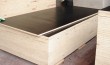 Phenolic Plywood