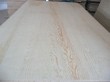 Pine Plywood