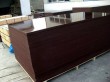 Tego Film Faced Plywood