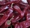 Dried Red Chilli